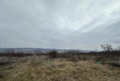 Teren de 400 mp, în Central - 1