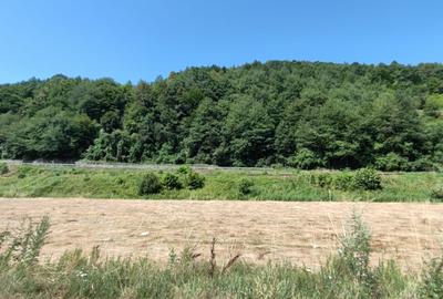 2500 mp TEREN INTRAVILAN MUNTII APUSENI, Negreni – Cluj, E60 - Mal Crisul Repede - 11