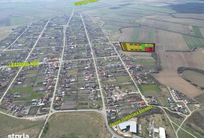 Teren de 622 mp, în Bucovăț - 6