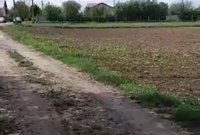 Teren de 300 mp, în Dârza - 6
