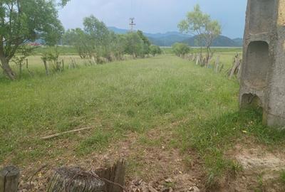 Teren Construcții intravilan de 10500 mp, în Exterior Nord - 8