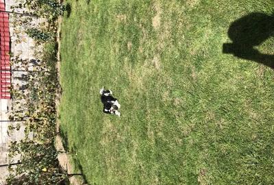 Casă cu 5 camere în Central