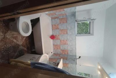 Apartament cu 2 camere decomandat în Podu Roș - 3