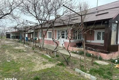 Casă cu 4 camere cu Teren 1300 Mp în Nuci - 2