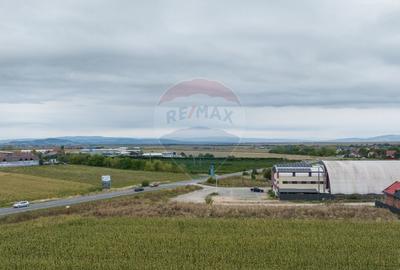 Teren Construcții intravilan de 790 mp, în Baciu - 3