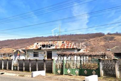 Casă cu 4 camere cu Teren 9528 Mp în Șișcani - 3