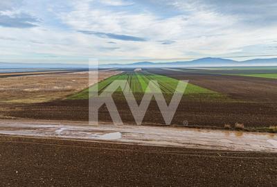 Teren Construcții intravilan de 16000 mp, în Hărman - 12