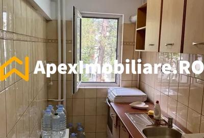 Apartament cu 2 camere semidecomandat, mobilat în Băneasa - 5