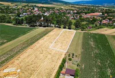 Spațiu comercial, în Valea Crișului - 4