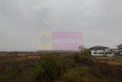 Teren în Corbeanca - 10