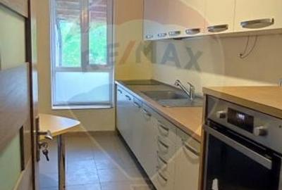 Casă individuală cu 5 camere cu Teren 966 Mp în Central - 7