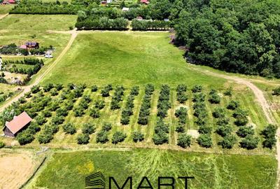 Teren extravilan 5000mp zona Cisnadie - 4