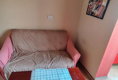 APARTAMENT 2 CAMERE LIPOVEI - 13