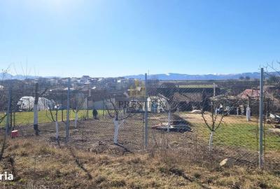 Spațiu comercial, în Cristian - 5