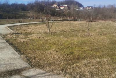 Casă cu 3 camere cu Teren 3000 Mp în Bogdănești - 1