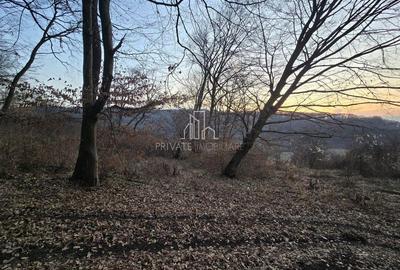 Teren extravilan 28.800 Mp , zona Rora, Sighisoara - 3