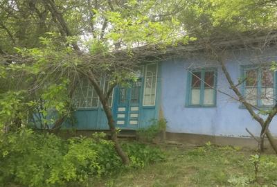 Casa batraneasca cu teren Romanesti, Iasi - 5