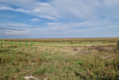 Spațiu comercial, în Vadu - 13