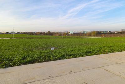 Loturi Intravilane In Rate Berceni | curent gaz asfalt iluminat | #SG1 - 15