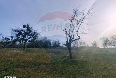 Teren de 3206 mp, în Remetea Chioarului