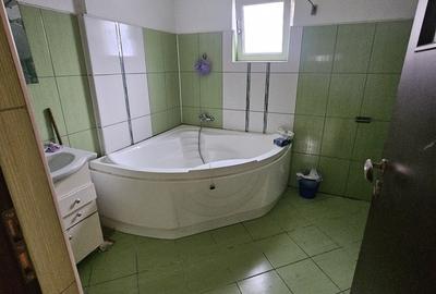 Snagov, Ciofliceni - 18