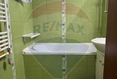 Apartament de inchiriat Dr Taberei/ Parcul Moghioros/Mili... - 10