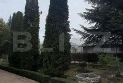 Vila 6 camere, Pucioasa - 20