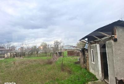 Casă cu 3 camere cu Teren 2522 Mp în Produlești - 8