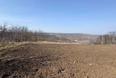 Spațiu comercial, în Aroneanu - 1