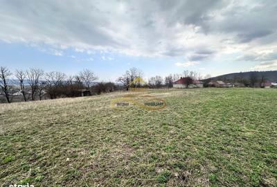 Teren de 11021 mp, în Blăgești