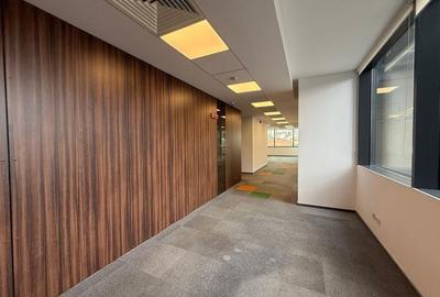 Spațiu de Birouri Premium pe Calea Floreasca – Versatil și Gata de Mutare - 2