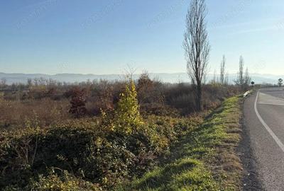 Teren extravilan in total 18.532 mp in Sat Gurasada, Jud. HD. - 2