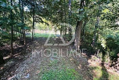 Un peisaj de poveste, ideal pentru investi?ie, Comuna Crasna - 3