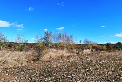 TEREN INTRAVILAN ȘI EXTRAVILAN BAIA DE FIER - 7