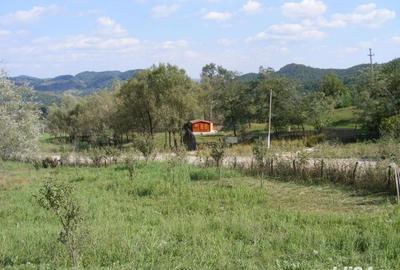 Teren de 2070 mp, în Vârfuri - 2