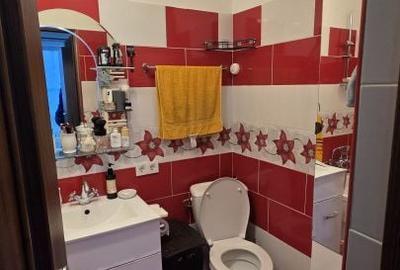 Apartament cu 3 camere în Carpați 2 - 11