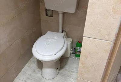 Apartament cu 2 camere semidecomandat în Lugoj - 3