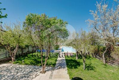 O Poveste de Vis pe Malul Lacului Snagov - 35