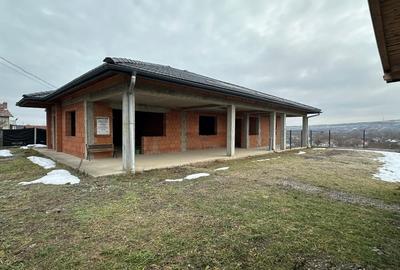 Casa la rosu+teren ST:1800 mp*Pestisu Mare-Deva-Hunedoara+casa veche ! - 6