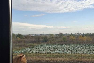 Casă cu 3 camere în Tărtășești - 4