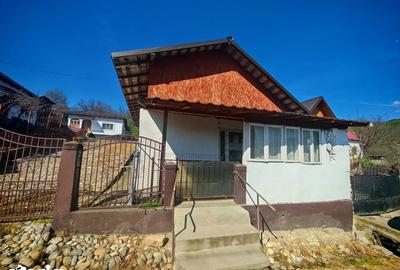 Casă cu 7 camere cu Teren 3233 Mp în Dârmănești - 12
