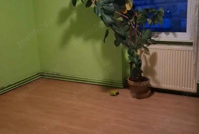 Apartament cu 2 camere decomandat în 1 Decembrie 1918 - 3