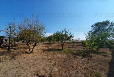 Teren intravilan agricol si teren curti constructii Lot 2 Parcela A326/49 Teren intravilan agricol si teren curti constructii Lot 2 Parcela A326/49 - 15