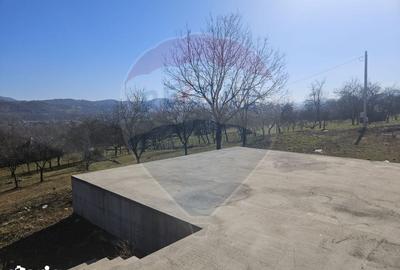 Teren de 4627 mp, în Bârsana - 1