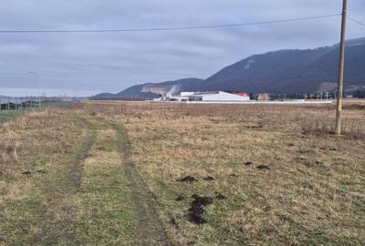 Teren industrial intravilan Brasov, langa Inna Schaeffler - 4