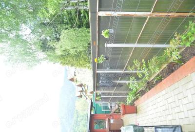 Casă cu 3 camere în Piatra Arsă - 4