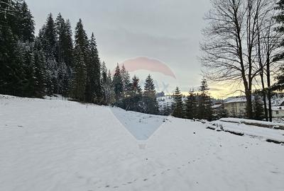 Teren in Bucovina, intravilan 3824 mp Deia-Frumosu, Suceava - 8