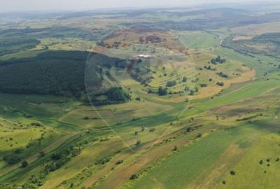 Teren agricol extravilan de 3000000 mp, în Zlagna - 2