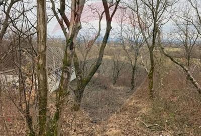 Teren în Central - 3