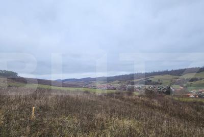 Teren intravilan 4774 mp de vanzare in Livezeni - 14